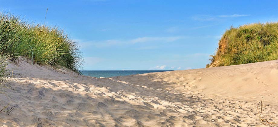 Die Sanddünen an der Nordseeküste bei Den Helder